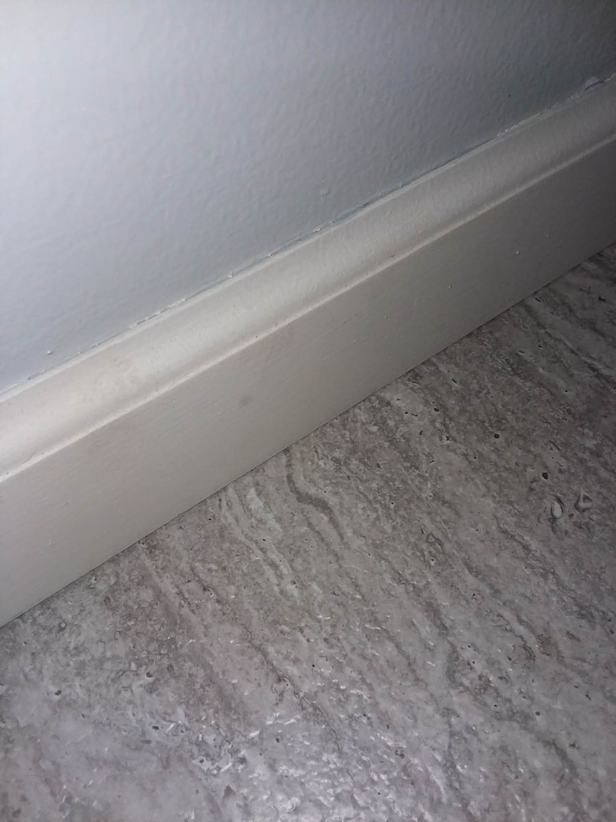 Close-up of freshly painted baseboard trim against carpet